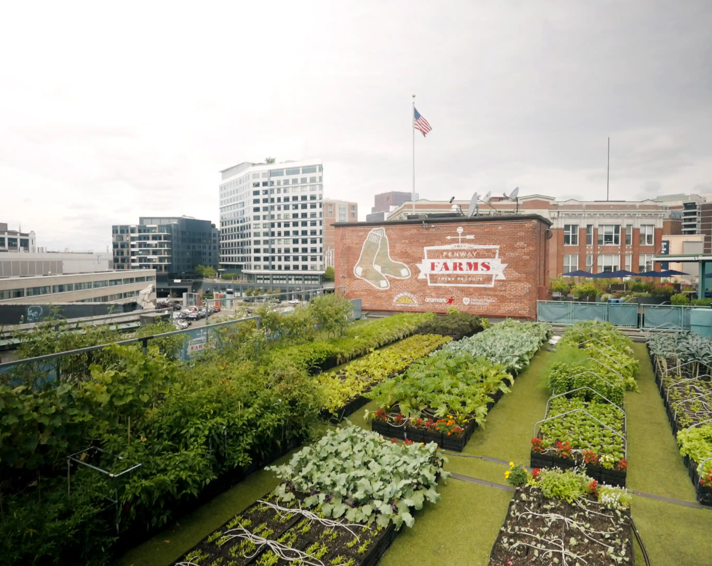 A rooftop garden at Fenway Park. 